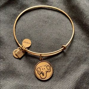 Alex and Ani bracelet